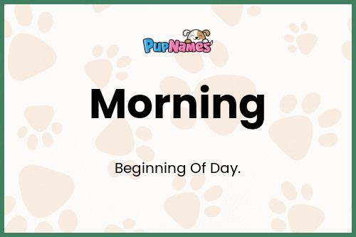 Morning dog name meaning