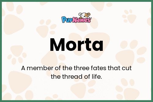 Morta dog name meaning