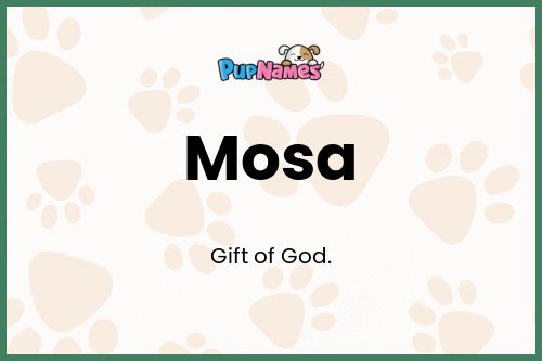 Mosa dog name meaning