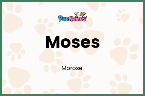 Moses dog name meaning