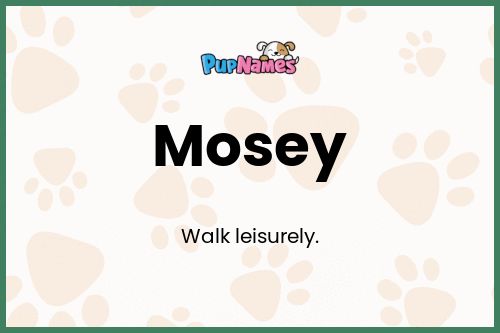 Mosey dog name meaning