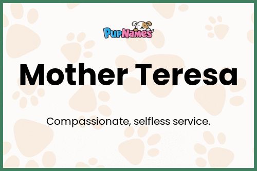 Mother Teresa dog name meaning