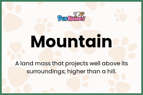 Mountain dog name meaning