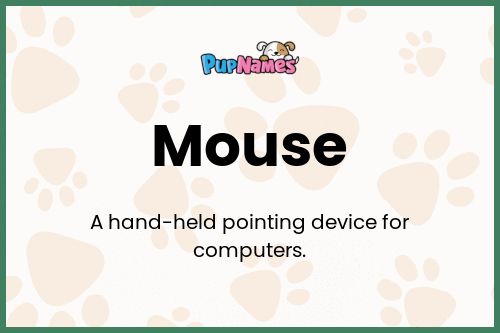 Mouse dog name meaning