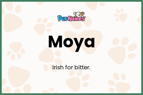 Moya dog name meaning