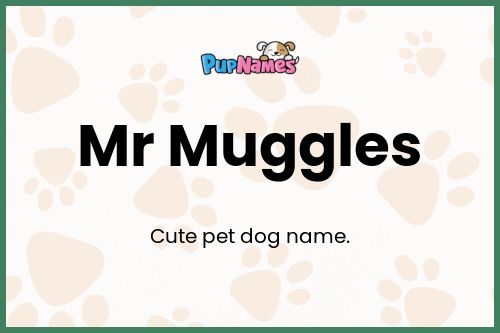 Mr Muggles dog name meaning