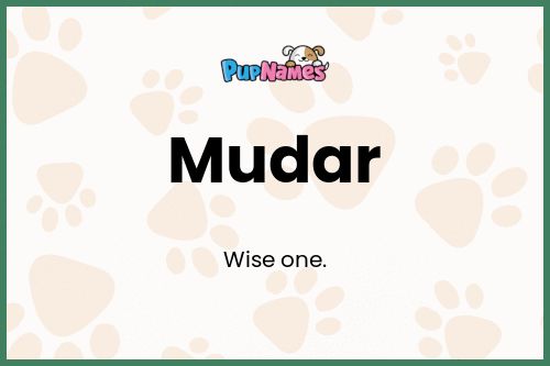 Mudar dog name meaning