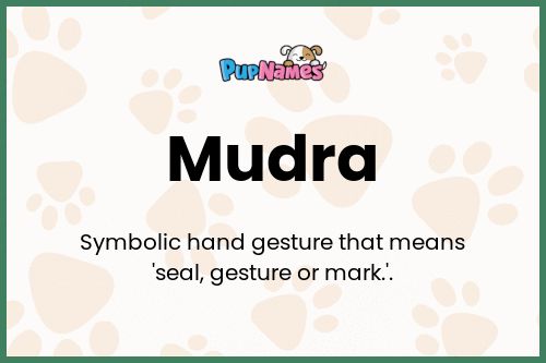 Mudra dog name meaning