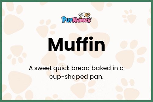 Muffin dog name meaning