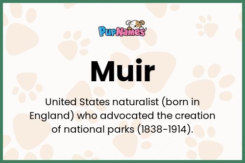 Muir dog name meaning