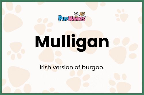 Mulligan dog name meaning