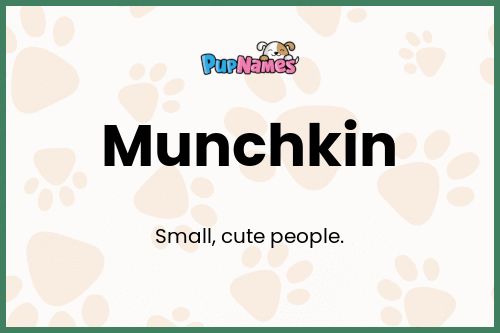 Munchkin dog name meaning