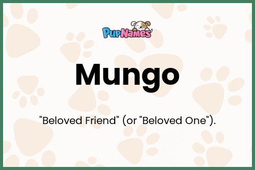 Mungo dog name meaning