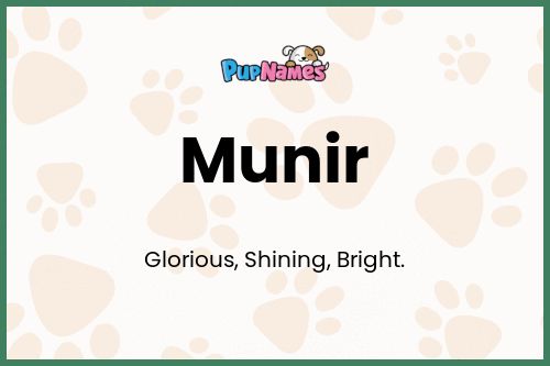 Munir dog name meaning