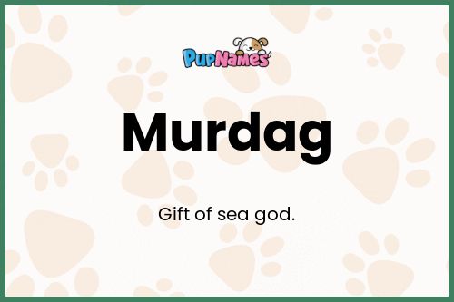 Murdag dog name meaning