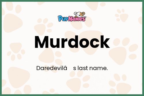 Murdock dog name meaning