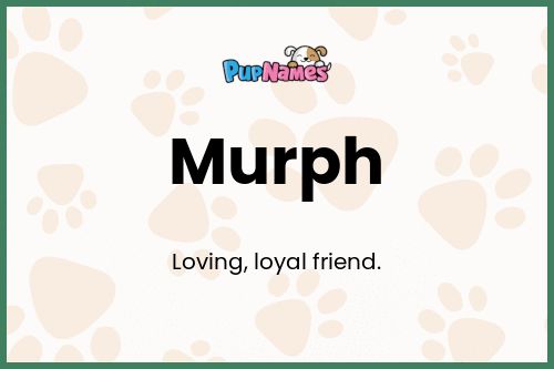 Murph dog name meaning