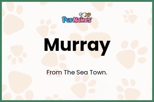 Murray dog name meaning