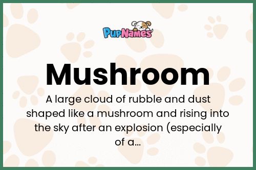 Mushroom dog name meaning