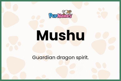 Mushu dog name meaning