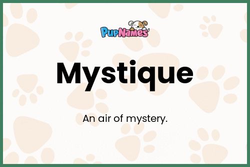 Mystique dog name meaning