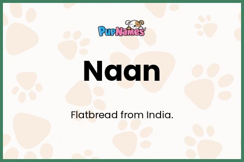 Naan dog name meaning