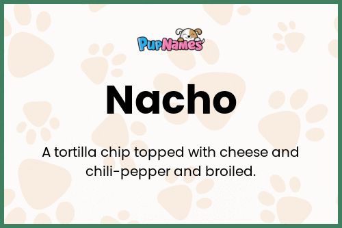 Nacho dog name meaning