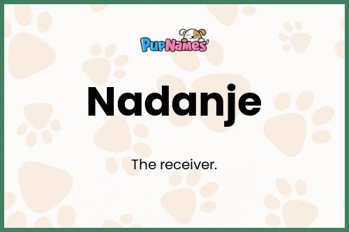 Nadanje dog name meaning