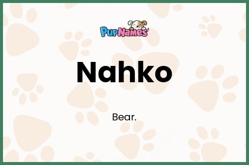 Nahko dog name meaning