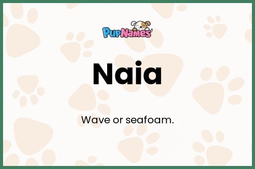 Naia dog name meaning
