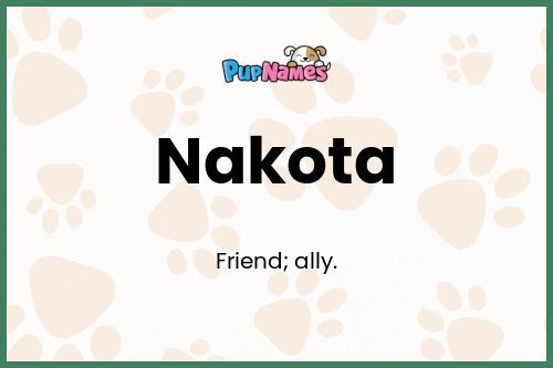 Nakota dog name meaning