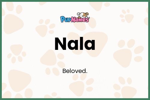 Nala dog name meaning