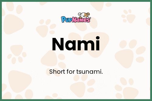 Nami dog name meaning