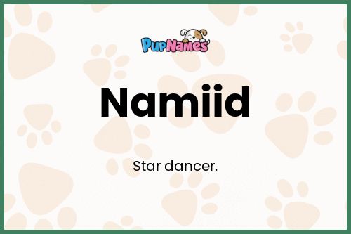 Namiid dog name meaning