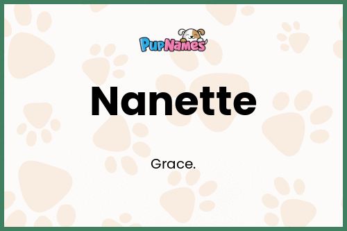 Nanette dog name meaning