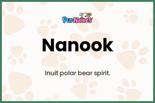 Nanook dog name meaning