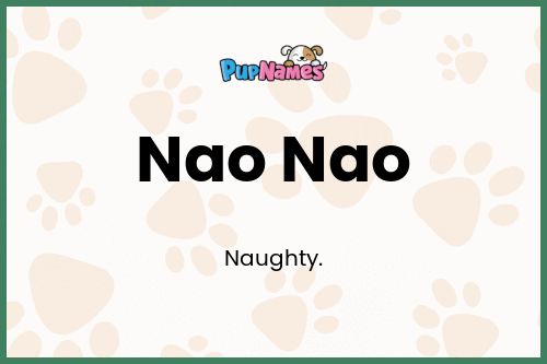 Nao Nao dog name meaning