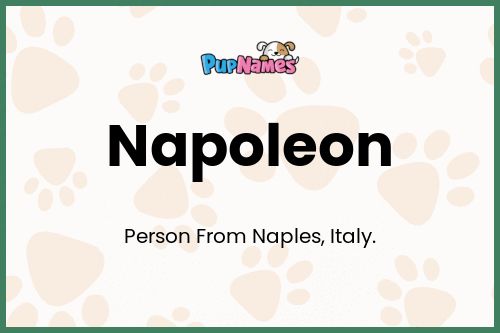 Napoleon dog name meaning