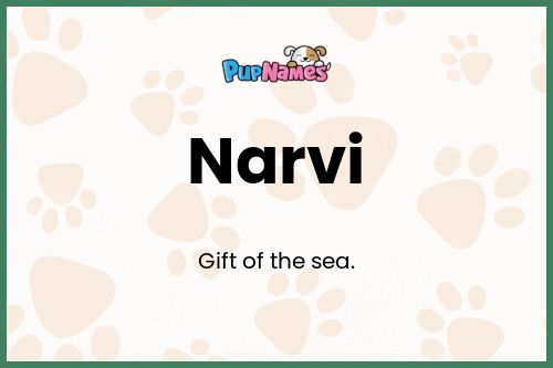 Narvi dog name meaning