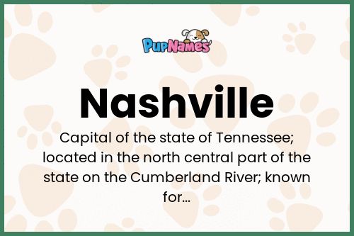 Nashville dog name meaning