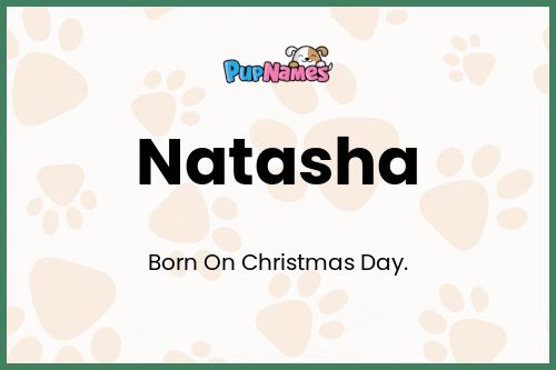 Natasha dog name meaning