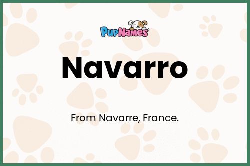 Navarro dog name meaning