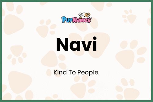 Navi dog name meaning