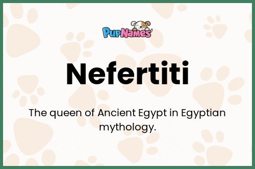 Nefertiti dog name meaning