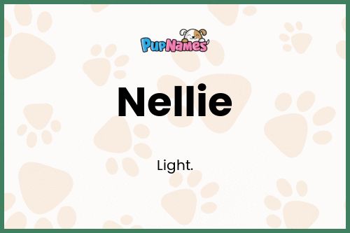 Nellie dog name meaning