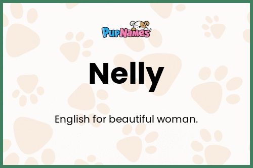 Nelly dog name meaning