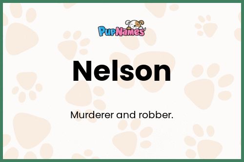 Nelson dog name meaning