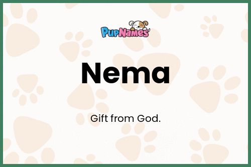 Nema dog name meaning