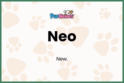 Neo dog name meaning