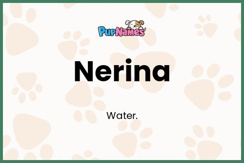 Nerina dog name meaning